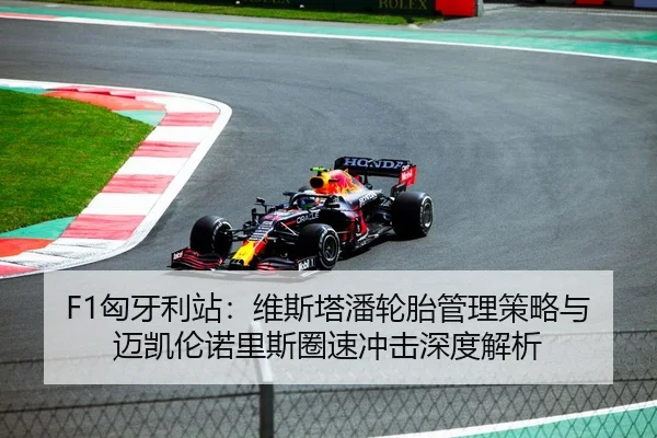 F1匈牙利站：维斯塔潘轮胎管理策略与迈凯伦诺里斯圈速冲击深度解析